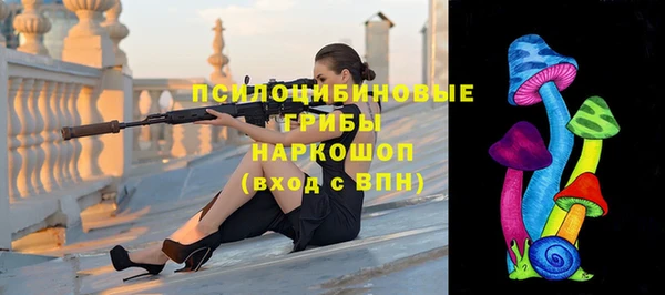 твердый Аша