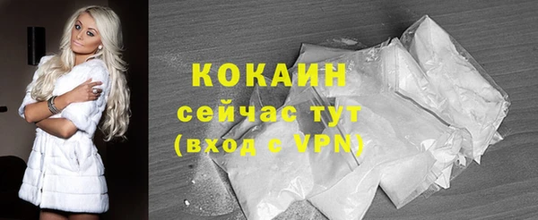 стаф Балахна