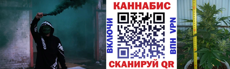 Канабис план  Благодарный 